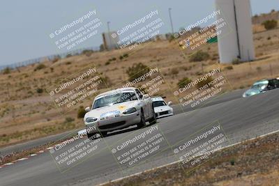 media/May-03-2025-Lucky Dog Racing (Sat) [[206de64b9d]]/Turn 6 (150pm-230pm)/